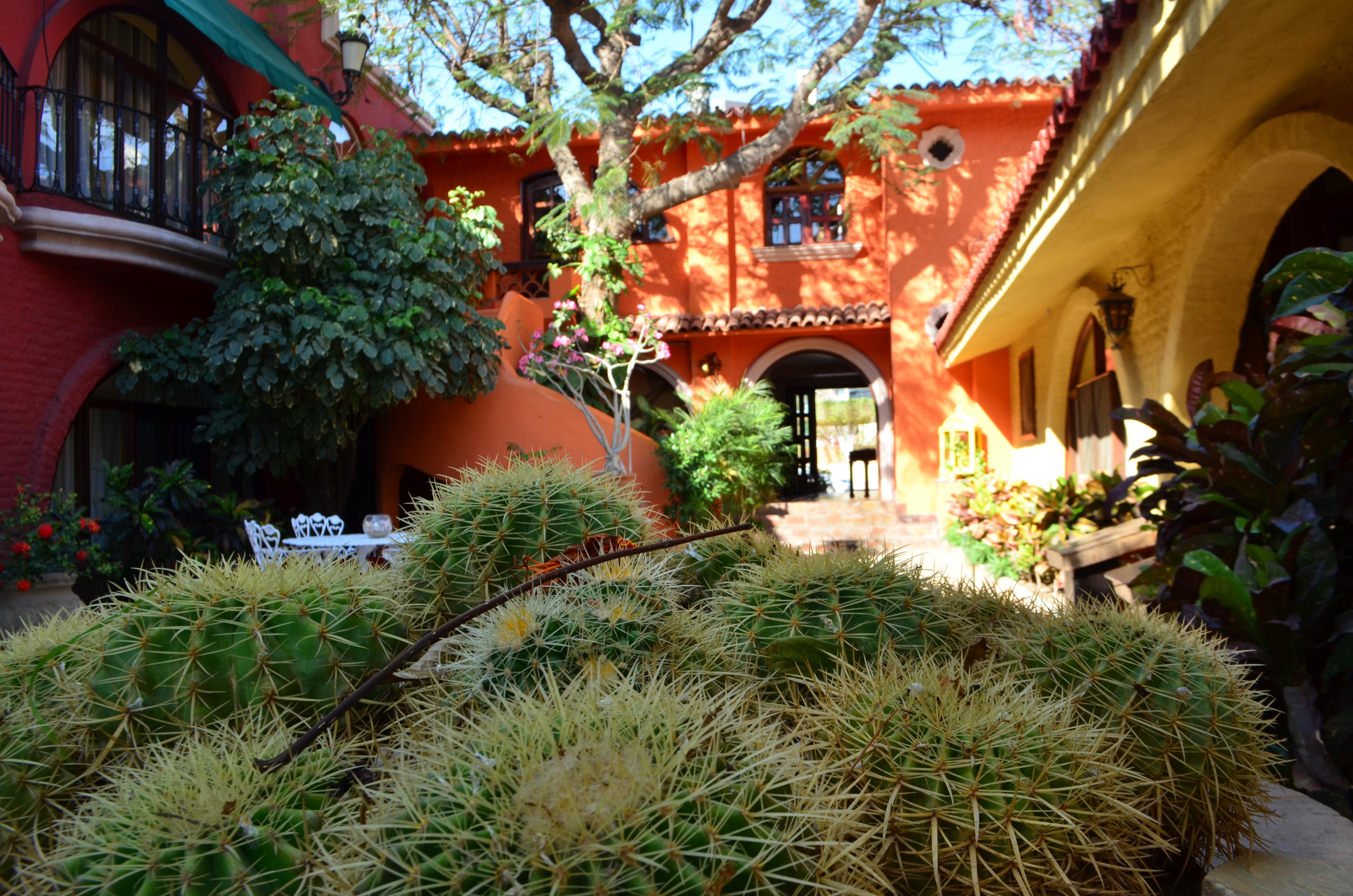 Collection O Casa Bella Hotel Boutique, Cabo San Lucas Bagian luar foto