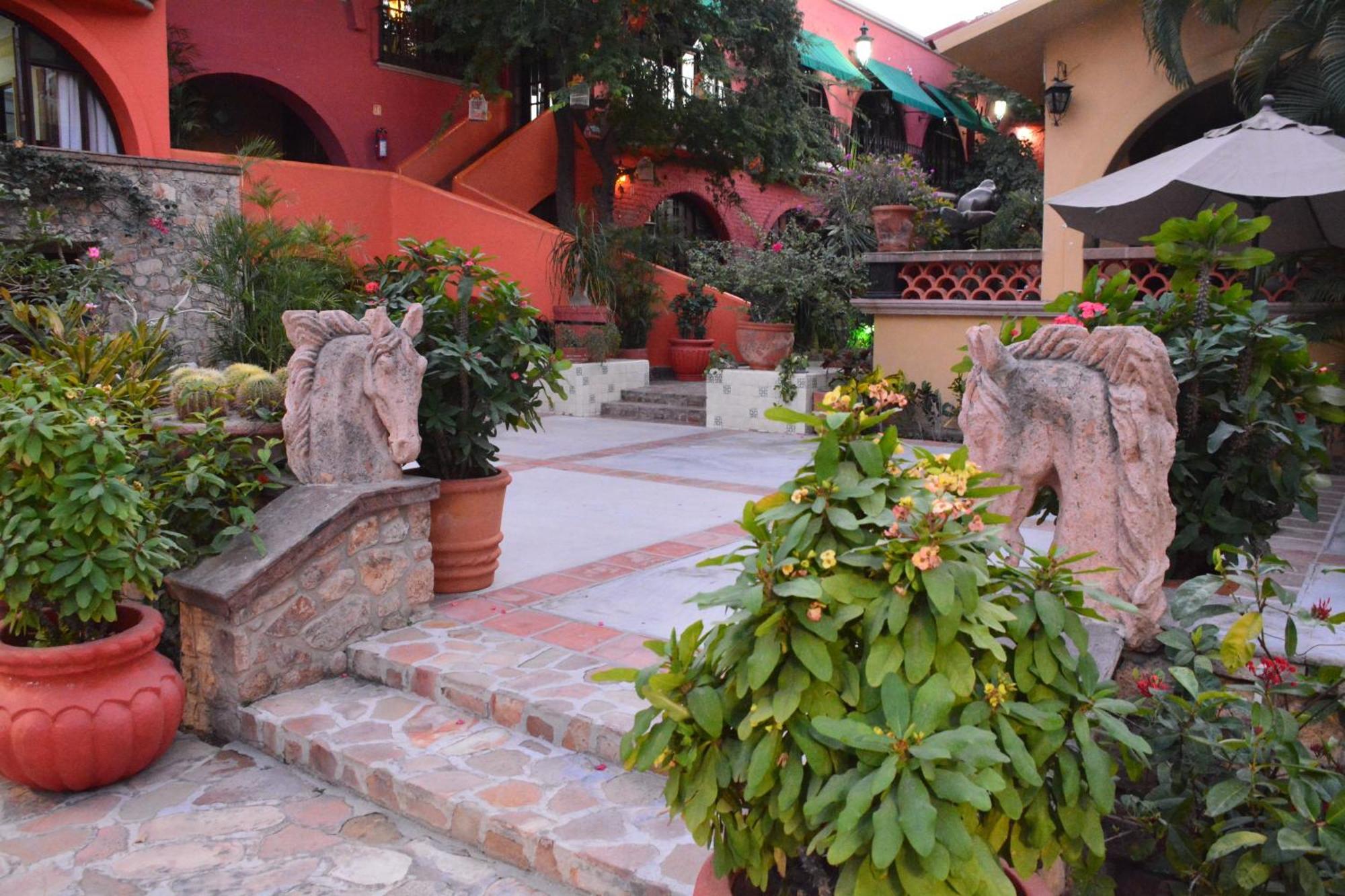 Collection O Casa Bella Hotel Boutique, Cabo San Lucas Bagian luar foto