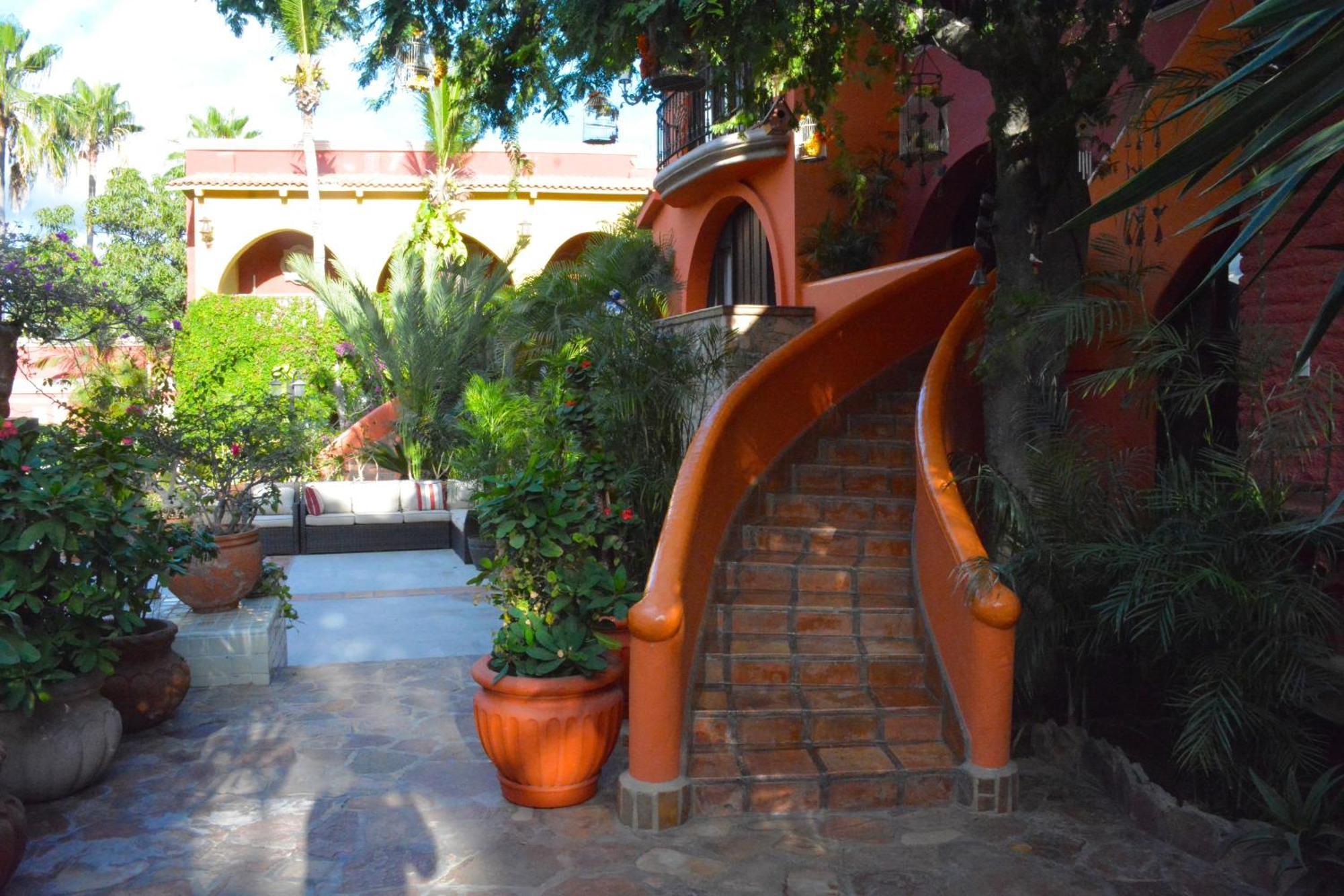 Collection O Casa Bella Hotel Boutique, Cabo San Lucas Bagian luar foto